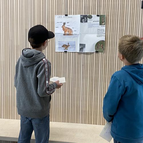 Referat Feldhase 