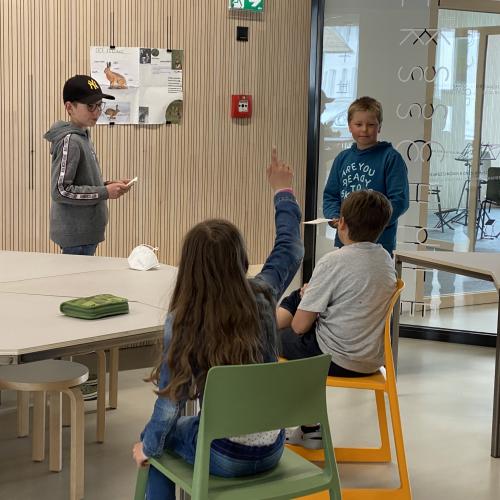 Referat Feldhase 