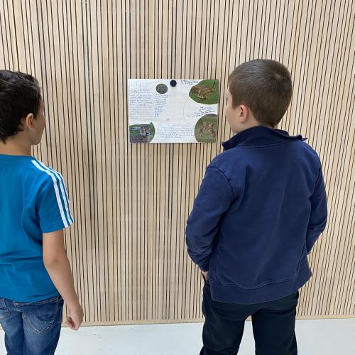 Referat Feldhase 