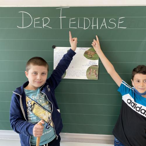 Referat Feldhase 