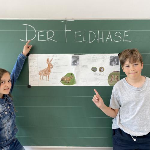 Referat Feldhase 