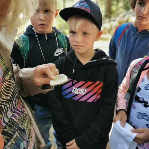 Fundstück