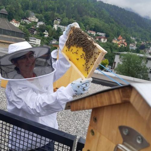 Bienen