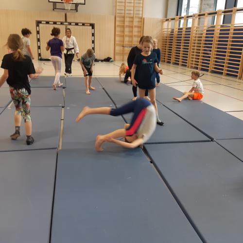 Ein Einblick in Judo