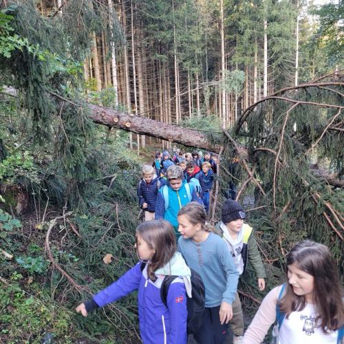 Wandertag_Tantegert