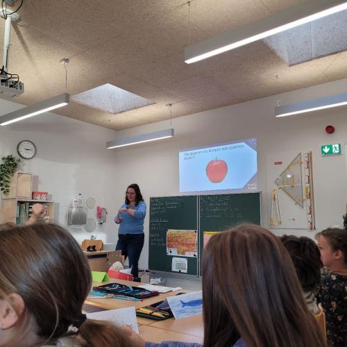 Workshop: Darmhelden