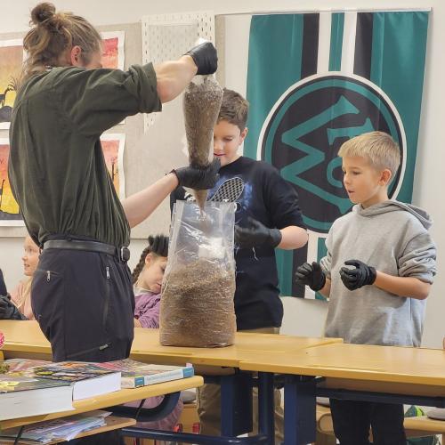 Workshop: Tyroler Glückspilze