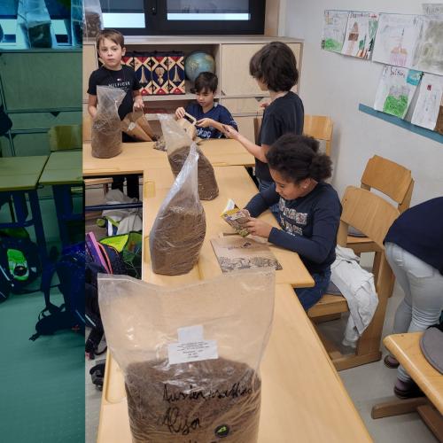 Workshop: Tyroler Glückspilze