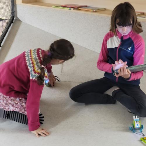 Workshop: Robotik