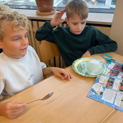 Experimente 3. Klasse