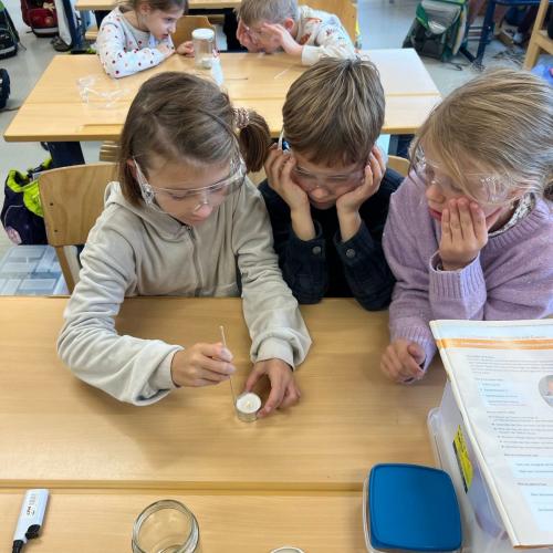 Experimente 3. Klasse