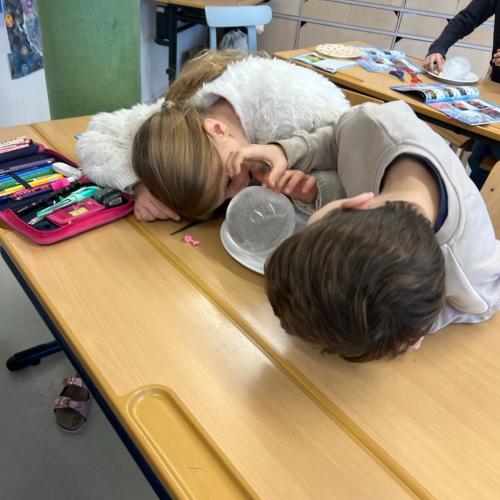 Experimente 3. Klasse