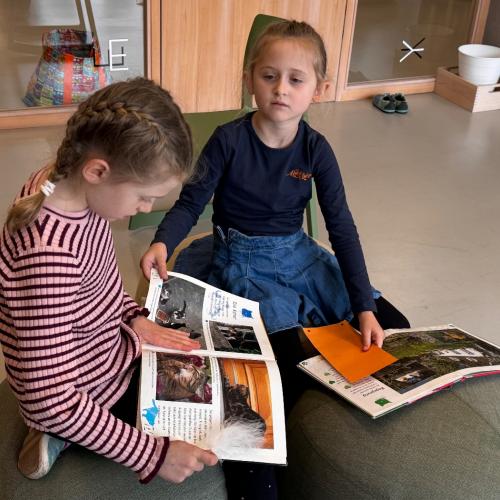 Schulbücherei