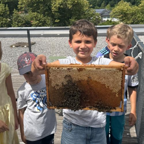 Schulbienen