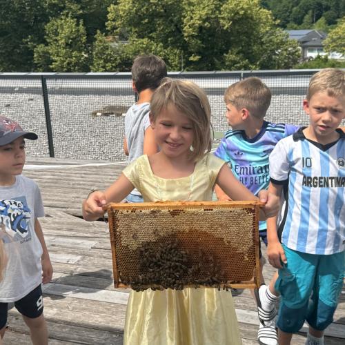 Schulbienen