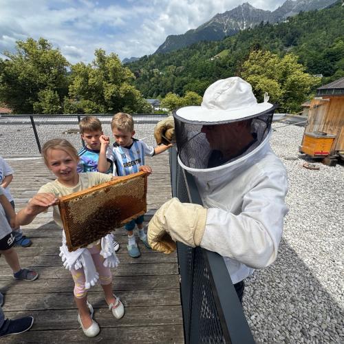 Schulbienen