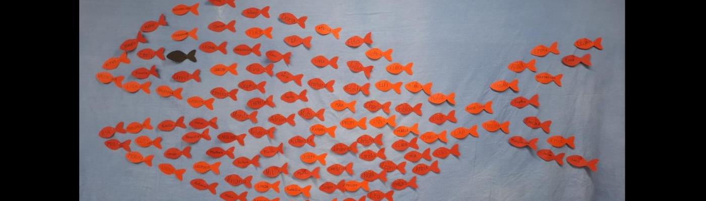 Swimmy - Fische mit den Namen unserer Kinder