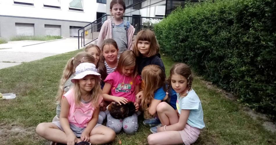 Meerschweinchen zu Besuch 