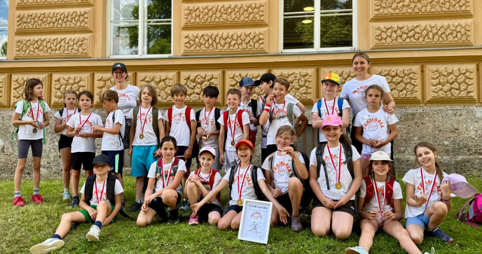 Teamball 4